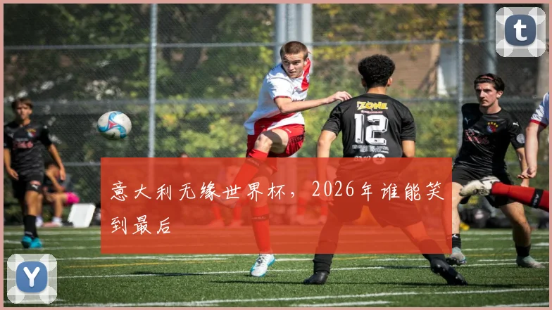 意大利无缘世界杯，2026年谁能笑到最后